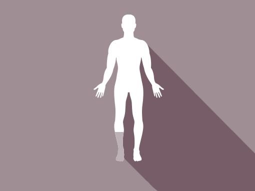 Underbensprotese / TT (Transtibial amputation)