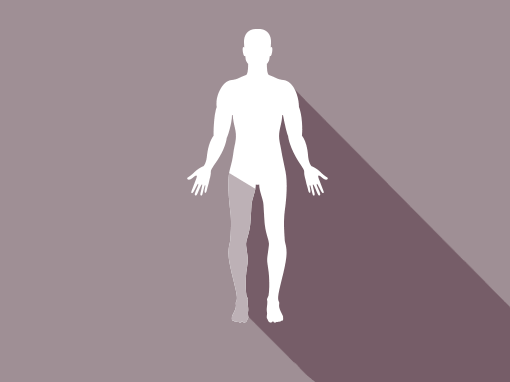 Hofteprotese / HD (Hip disarticulation)