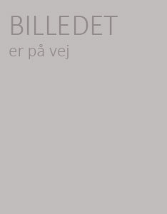 Søren Bondesen, Tekniker