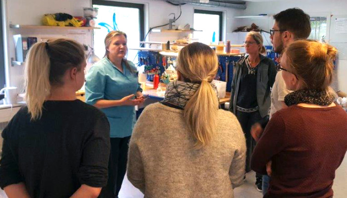 Læring og samarbejde i Ortos