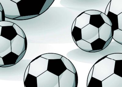 Fodbold sort/ hvid (PT-149)