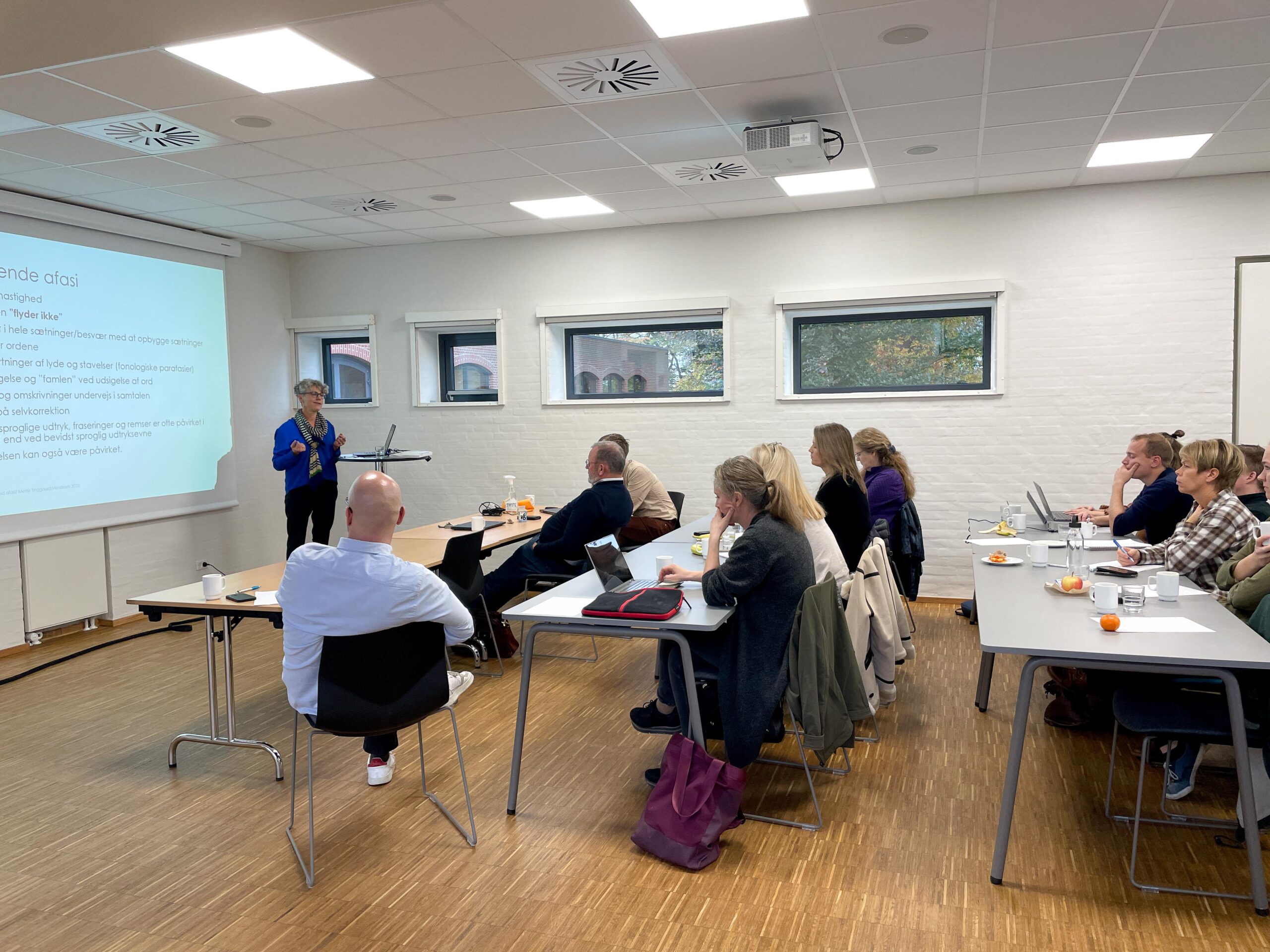 Bandagistmoede_Dalum