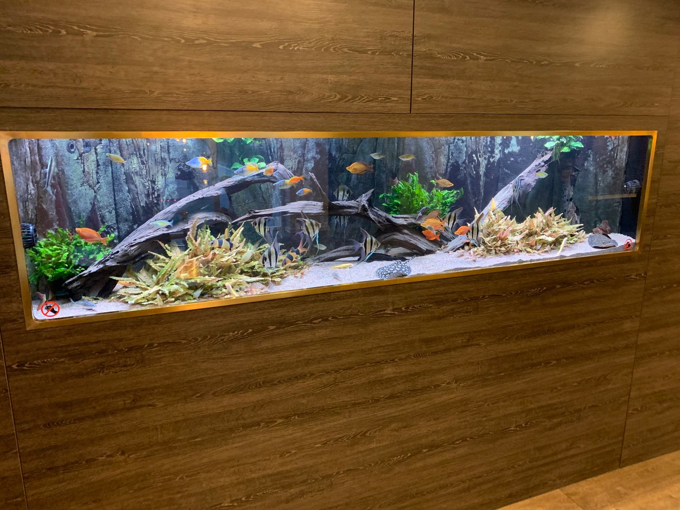 Indbygget akvarie på hotel