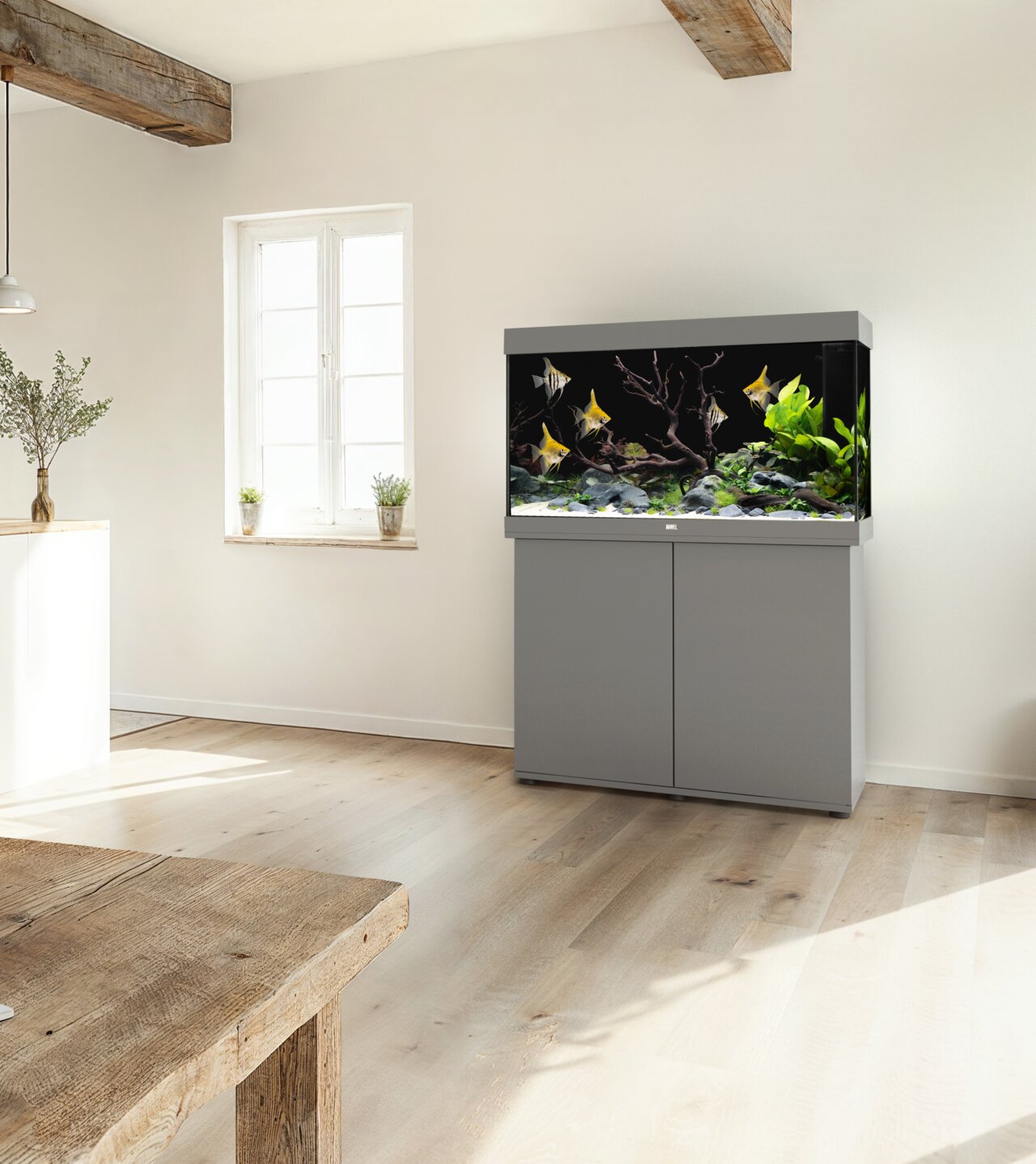 JUWEL Rio-akvarium med skab i et lyst rum